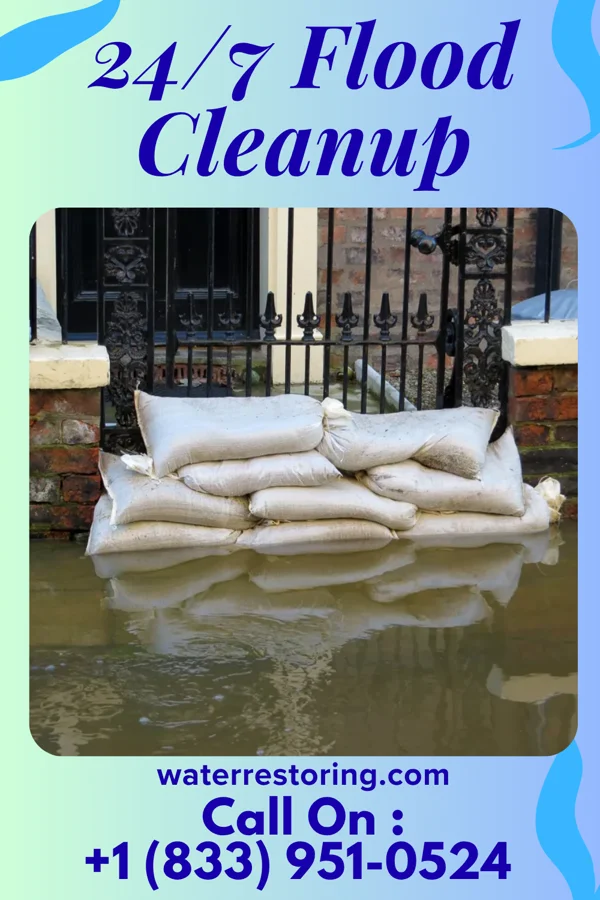 24/7 Flood Cleanup in Vienna Center, OH
