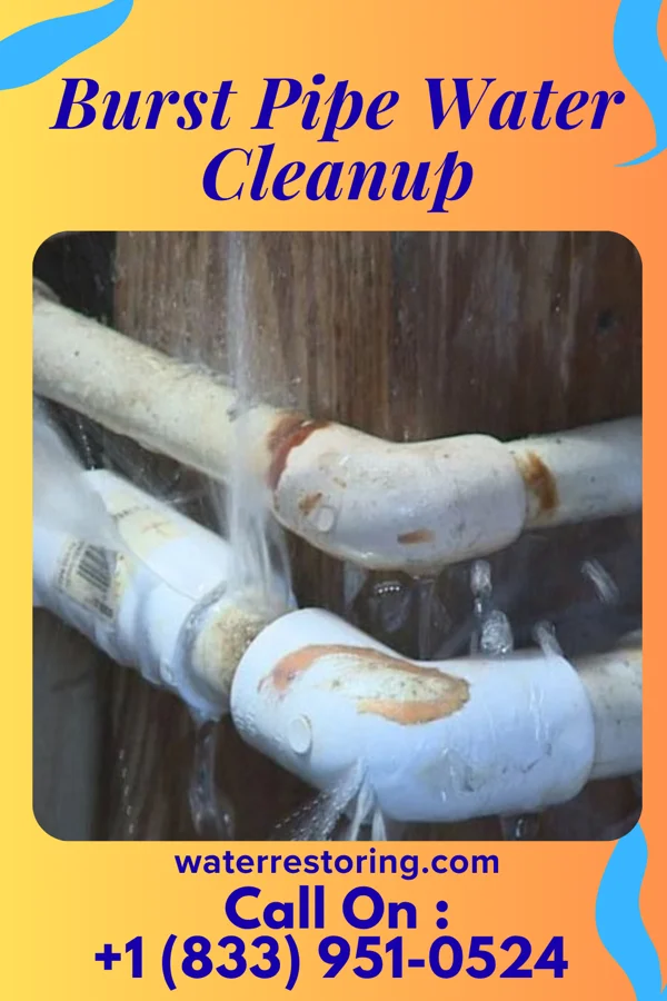 Burst Pipe Water Cleanup in Vienna Center, OH