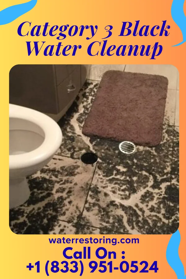 Category 3 Black Water Cleanup in Vienna Center, OH