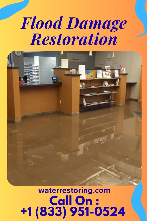 Flood Damage Restoration in Vienna Center, OH