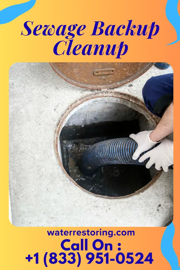 Sewage Backup Cleanup in Vienna Center, OH