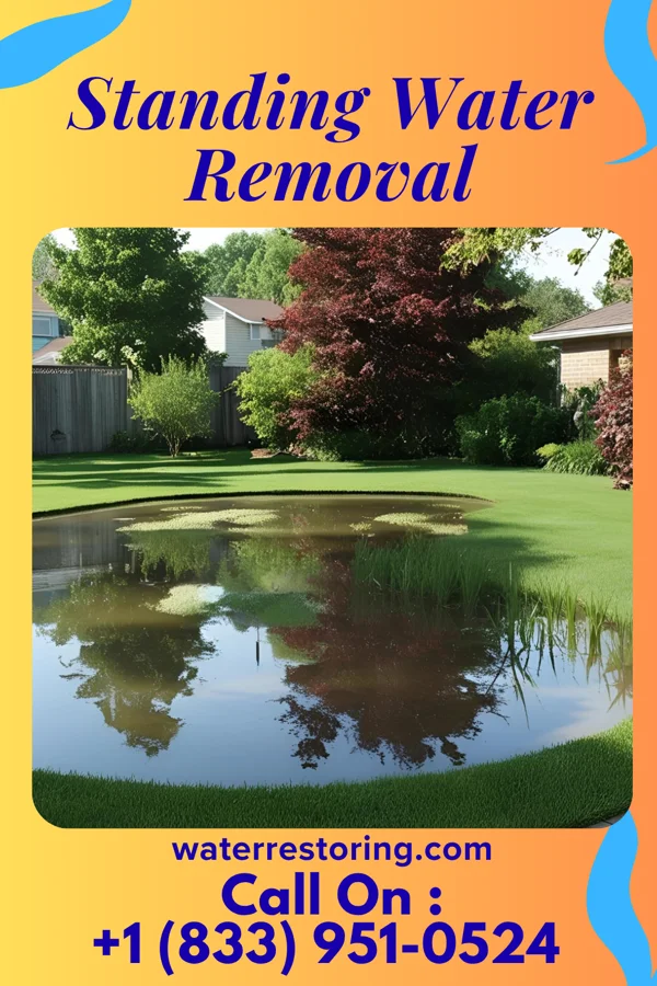 Standing Water Removal in Vienna Center, OH